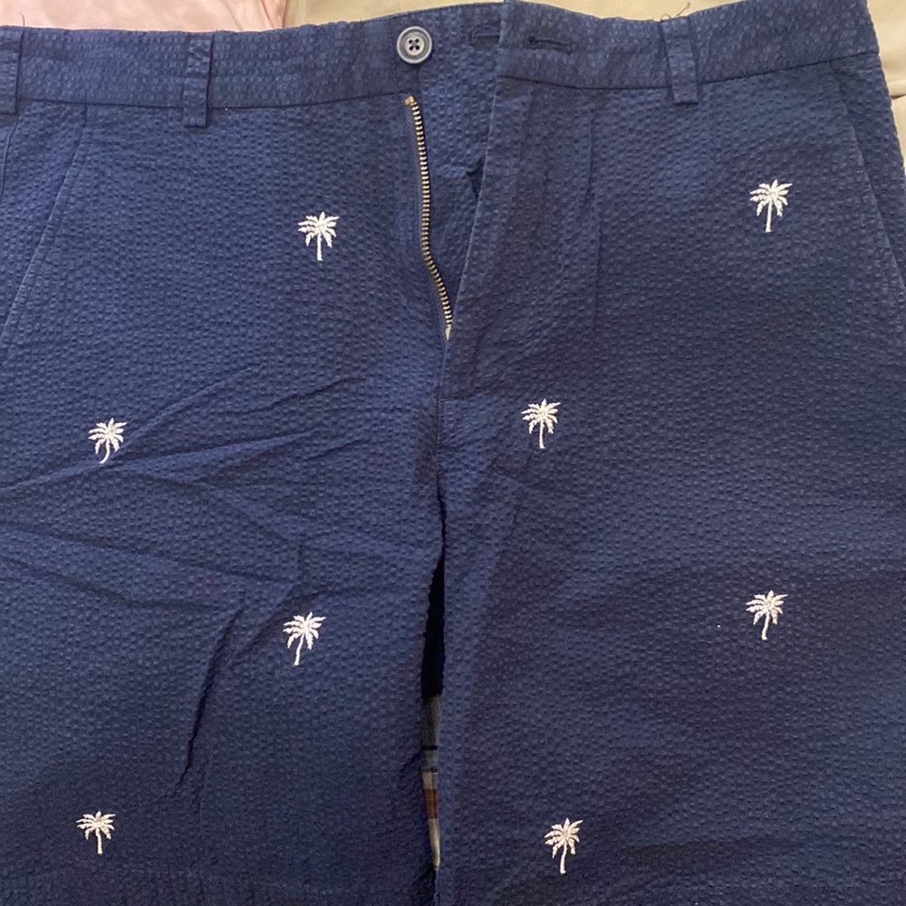 Brooks Brothers blue seersucker palm tree shorts-35